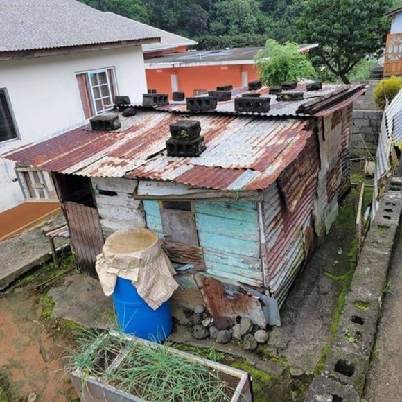 Meet your Posher, Jerry w - Picture 1 of 1